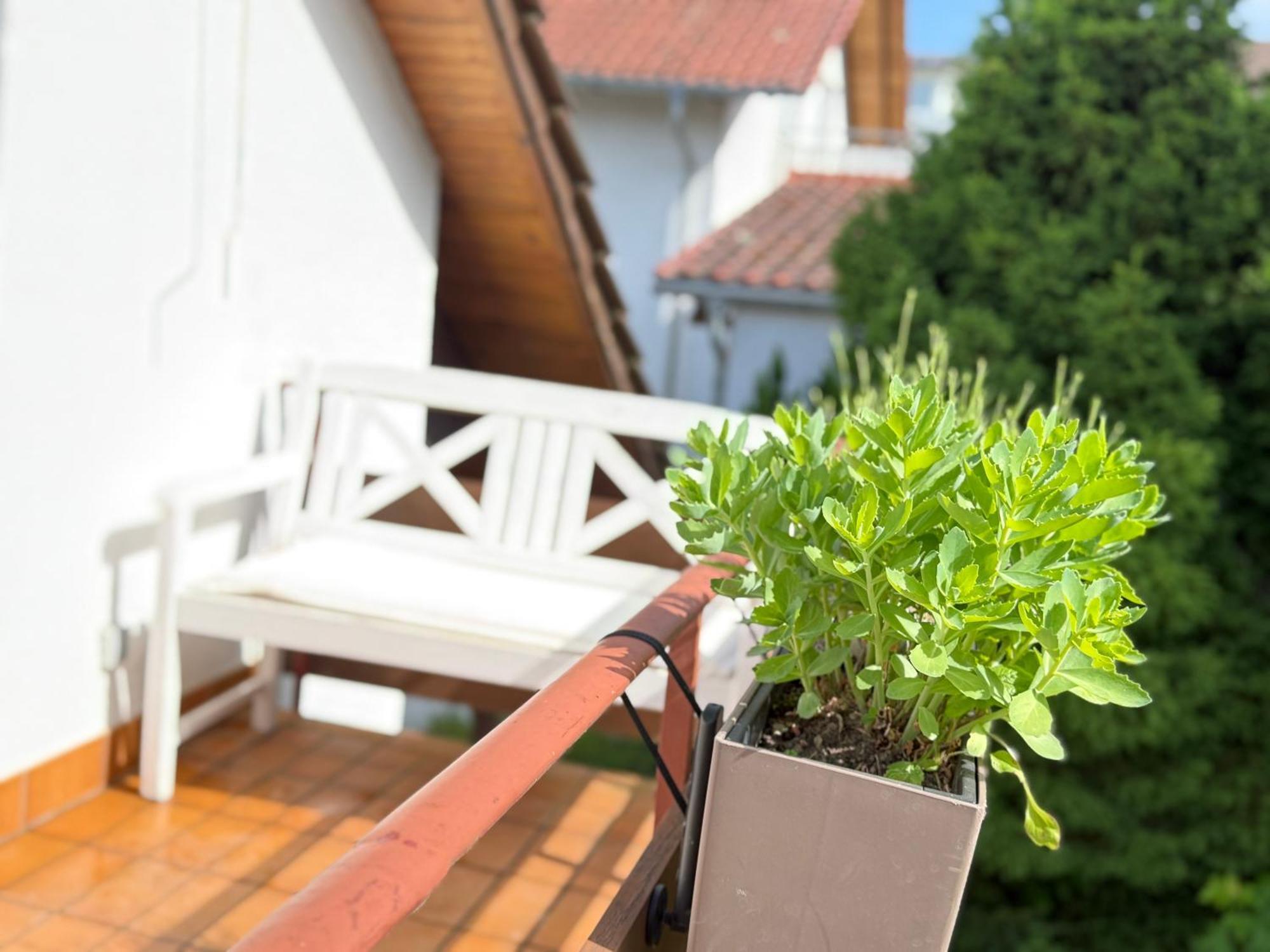 Ferienwohnung Schwarzwaldnest Lahr  Exterior foto